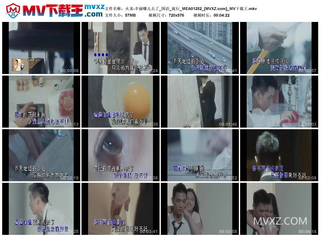 火龙-幸福哪儿去了_国语_流行_MEA01252